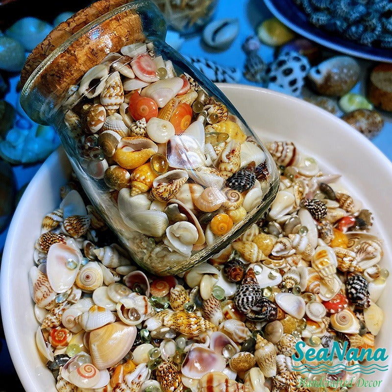 🌊Sea Treasures in a Bottle