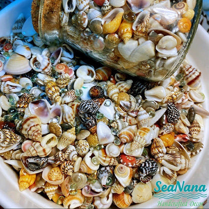 🌊Sea Treasures in a Bottle