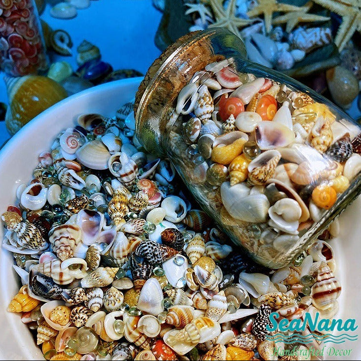 🌊Sea Treasures in a Bottle